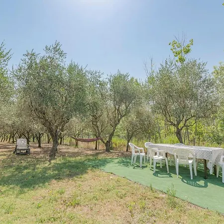 דירה Casa Degli Ulivi *